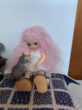 Load image into Gallery viewer, Poppy